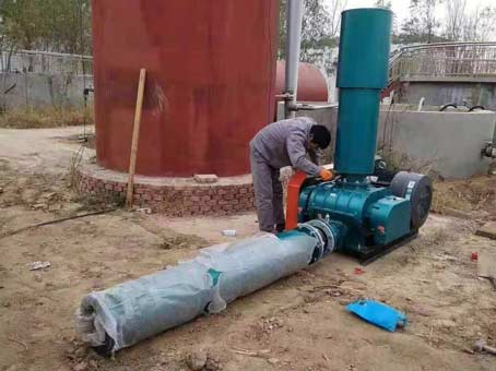 導致羅茨風機跳閘的原因是什么 導致羅茨風機跳閘的原因是什么